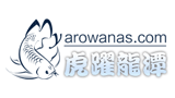 虎躍龍潭
