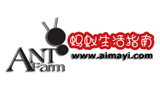 螞蟻生活指南 螞蟻生活指南