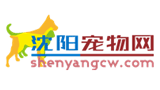 沈陽寵物網