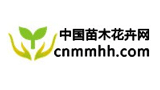 中國苗木花卉網(wǎng)