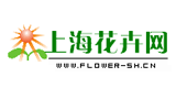 上海花卉網