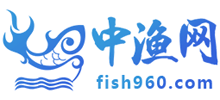 中漁網