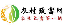 農村致富網