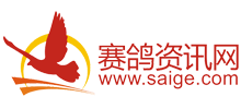 賽鴿資訊網