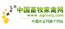 中國(guó)畜牧家禽網(wǎng)