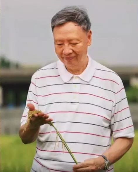 盧永根