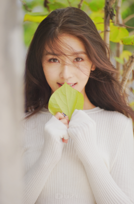 馬春瑞