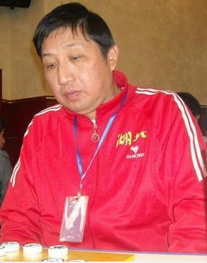 柳大華 柳大華
