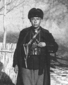 高鵬振