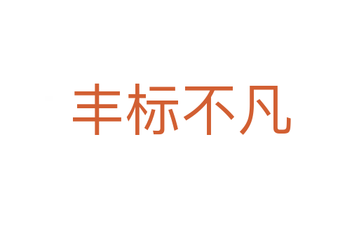 豐標(biāo)不凡