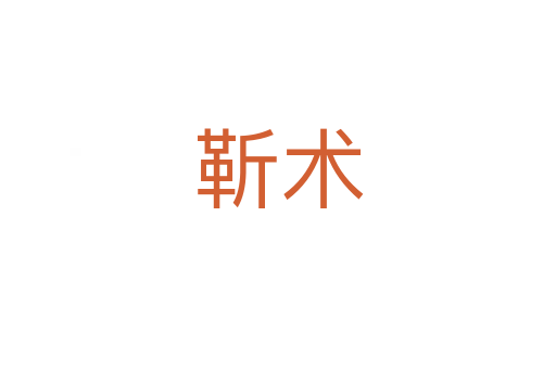 靳術