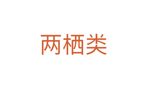 兩棲類