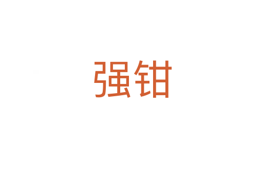 強(qiáng)鉗
