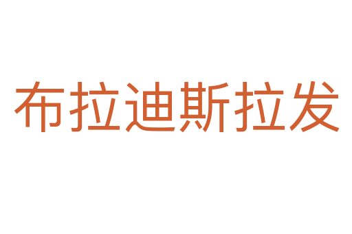 布拉迪斯拉發(fā)
