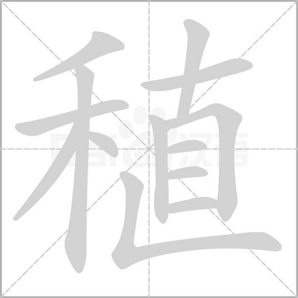 稙的筆順動(dòng)畫(huà)演示