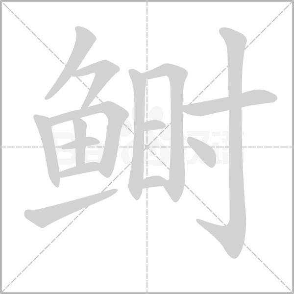 鰣的筆順動(dòng)畫(huà)演示