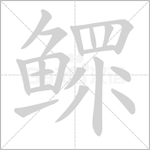 鰥的筆順動(dòng)畫(huà)演示
