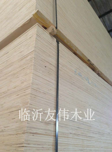異形托盤板向和大面積發展
